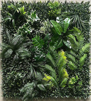 Aglaia odorata Lour.