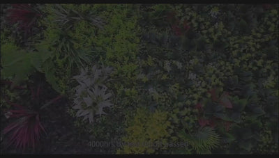 40" Rainforest Tapestry: Artificial UV Protected Wall Panels 3D Mixed Plant Wall Hedge Decor For Home